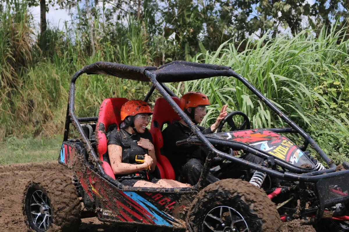 Tandem buggy riders on a green track